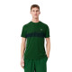Camiseta Lacoste Novak Djokovic Verde Azul Marino