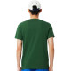 Pack Camiseta Lacoste Novak Djokovic Verde y Gorra Blanco
