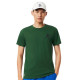 Pack Camiseta Lacoste Novak Djokovic Verde y Gorra Blanco