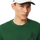 Pack Camiseta Lacoste Novak Djokovic Verde y Gorra Blanco